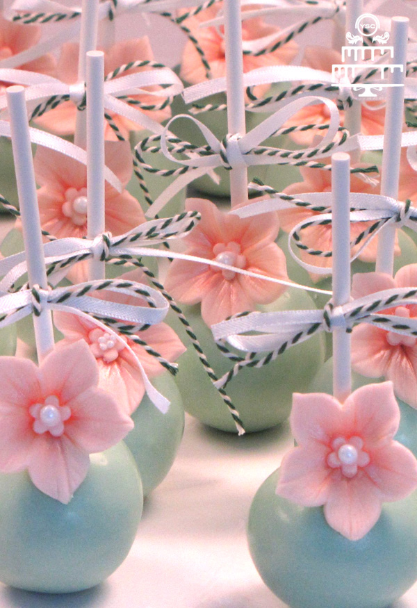 stoeprand niveau duurzame grondstof Cakepops voor je bruiloft • Yummie Sweet Cakes •